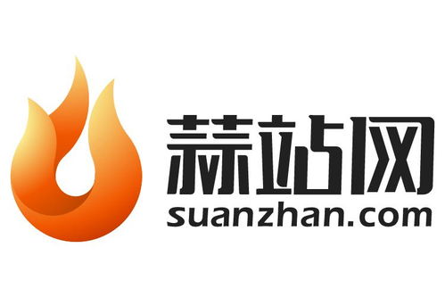 四川蒜站網(wǎng)絡科技 引領科技創(chuàng)新與數(shù)字化轉型