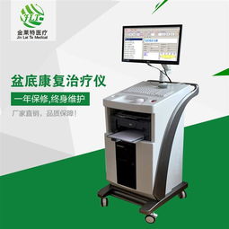 產(chǎn)后盆底康復(fù)治療儀市場(chǎng)解析 廠家批發(fā)價(jià)格與貴州地區(qū)發(fā)展現(xiàn)狀